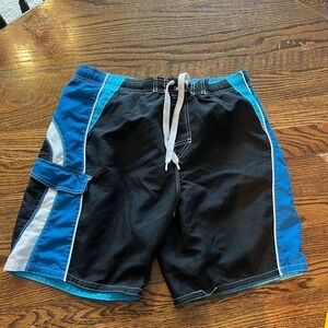 Lanesboro Swim Trunks